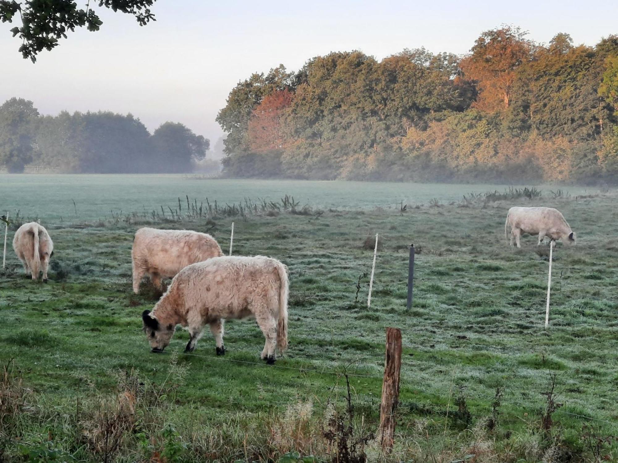Vila 23 Familien Premium Pods "Juist" Silberstedt Exteriér fotografie